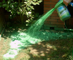 Aquagrazz a 49,99€