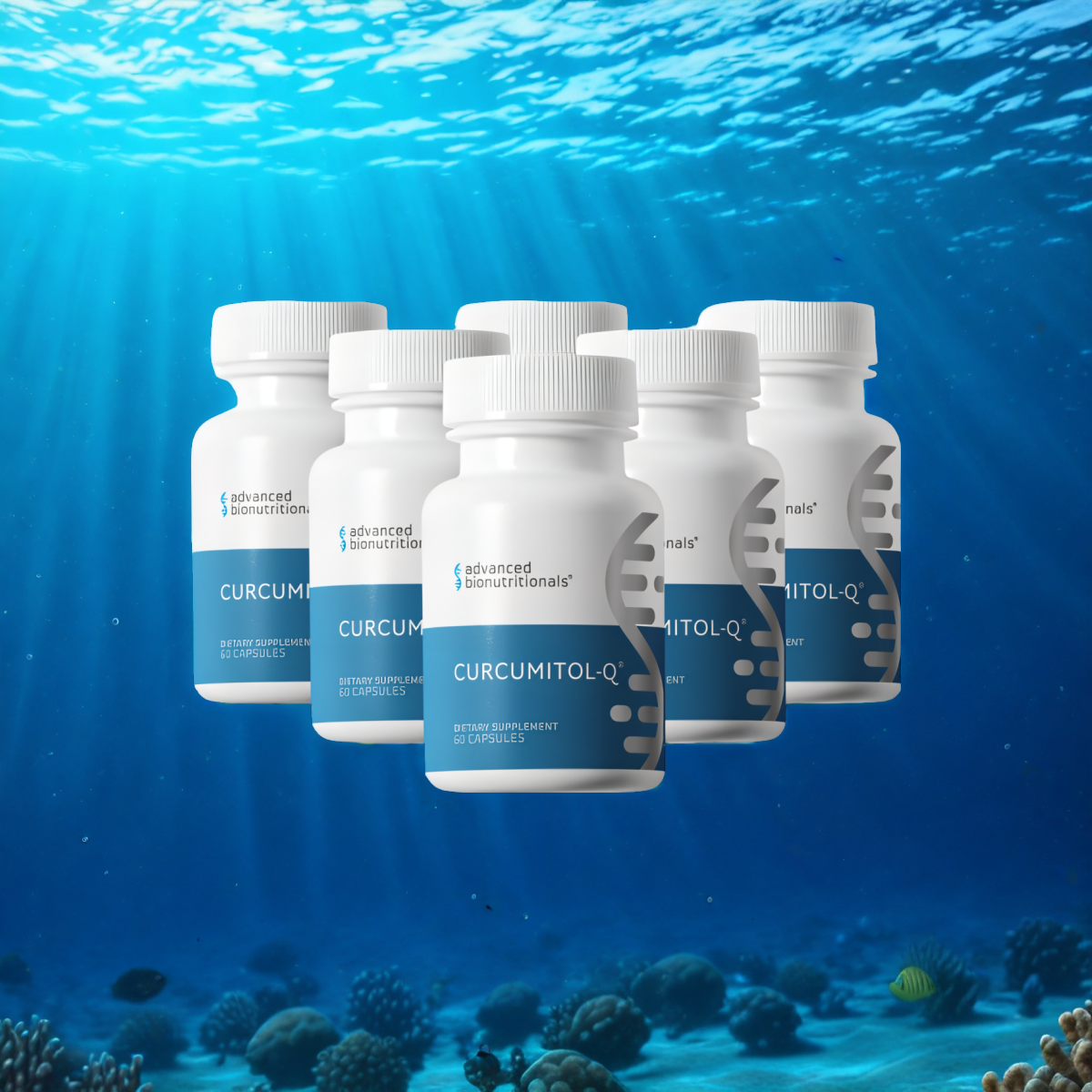 Curcumitol-Q® - BioBDMC® Curcumin Supplement - 6 bottles