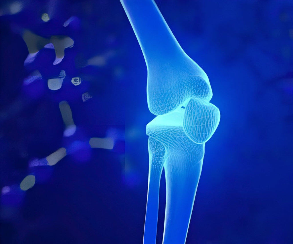 RXB Articulations x3 a 69,99€